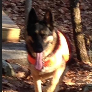 Meet your Posher, Beth