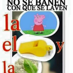 Meet your Posher, Will