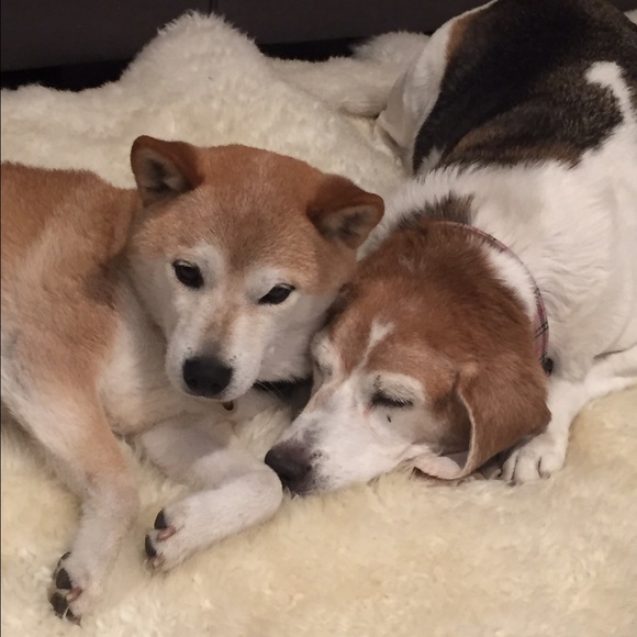 Meet your Posher, Veronica