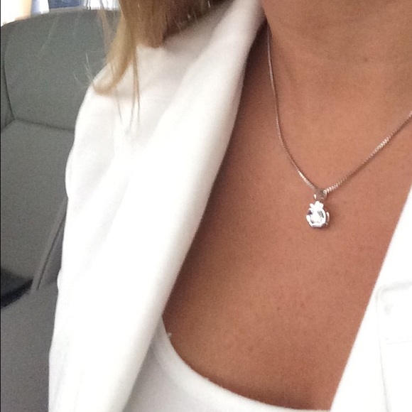 Apple charm & necklace or Double ring Necklace - Picture 3 of 3