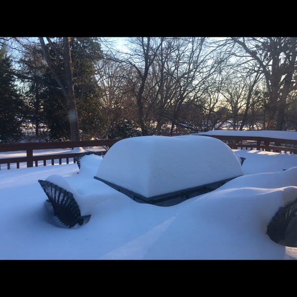 Meet your Posher, Donna