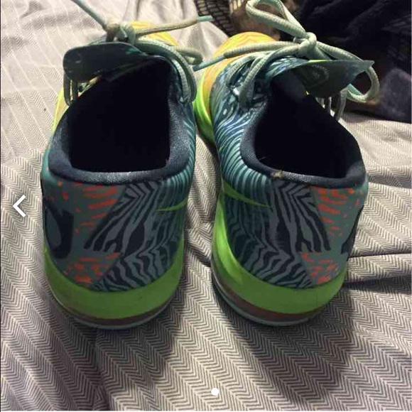 Kd's - Picture 2 of 2