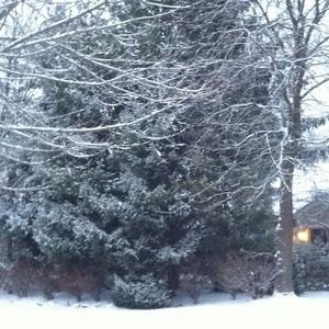 Meet your Posher, Tian