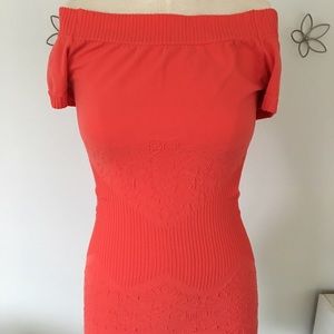 Arden B fitted, stretchy shirt