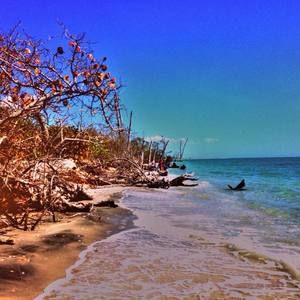 Meet your Posher, Corinne