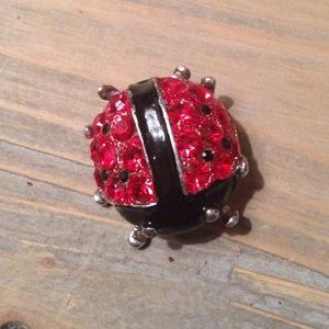 Lady Bug Pin