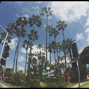 Meet your Posher, Priscilla