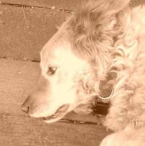 Meet your Posher, Ethan