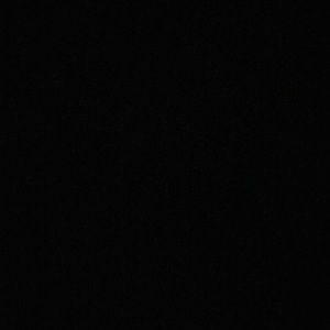 Meet your Posher, Ashlie