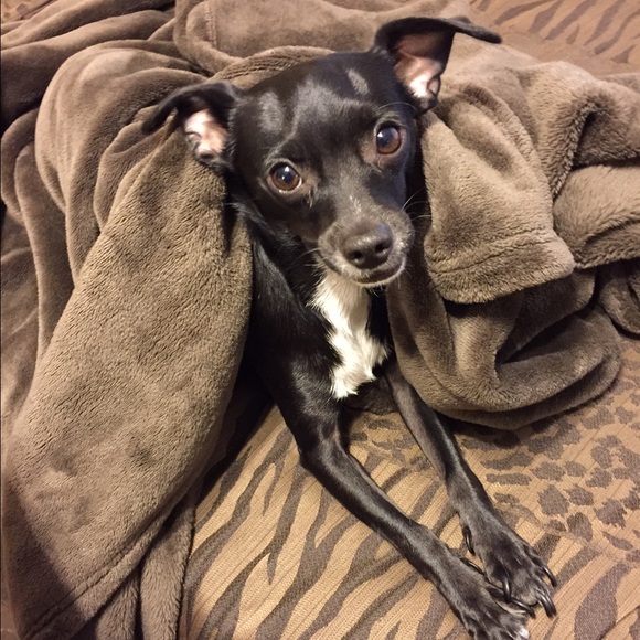 My life ! - Picture 4 of 4