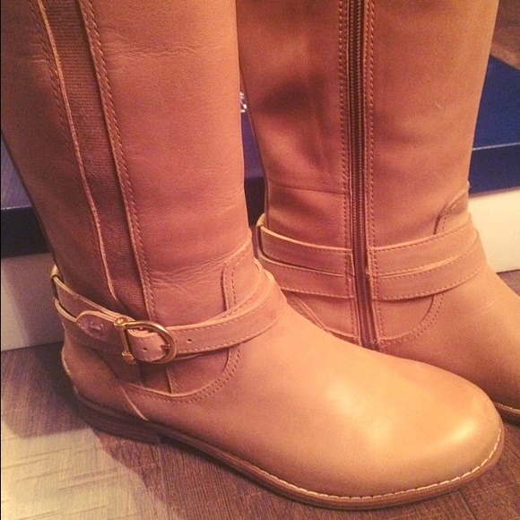 Additional photos - Picture 4 of 4