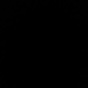 Meet your Posher, Freedom