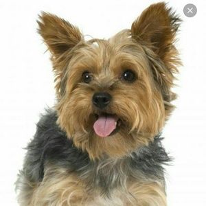 Meet your Posher, Fahira