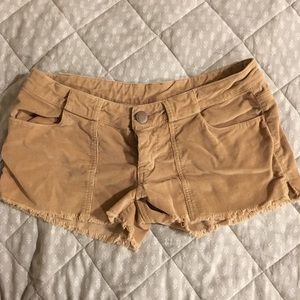 Tan oneil shorts