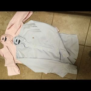 Oxford polo Shirts