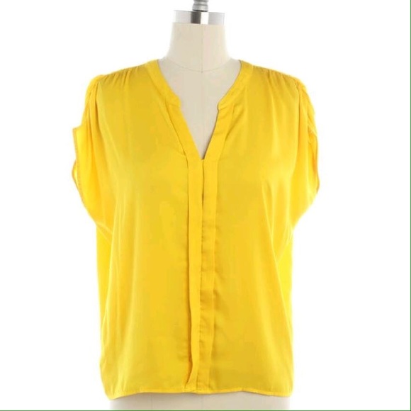 Ann Taylor LOFT Cap Sleeve Button Down Blouse