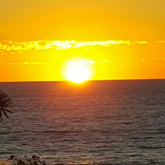 Meet your Posher, Brett - Picture 1 of 1