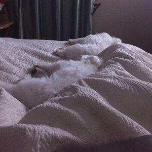 Meet your Posher, Martha