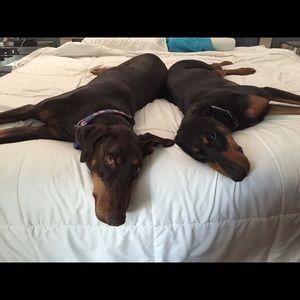 Meet your Posher, Kelli