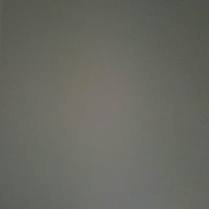 Meet your Posher, Albert