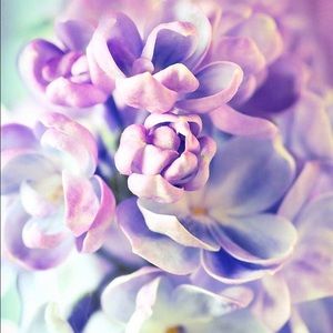 Meet your Posher, Karla