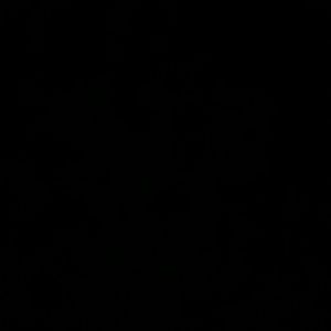 Meet your Posher, Kaytlin