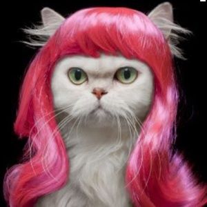 Meet your Posher, Cynthia