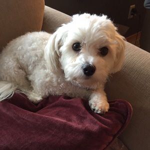 Meet your Posher, Natalie