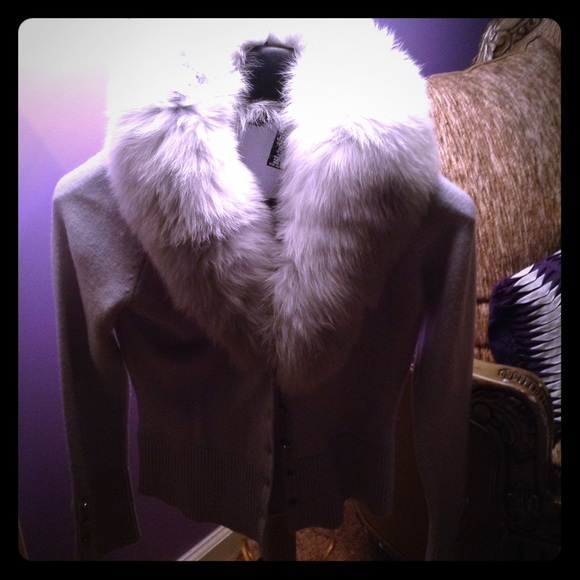 Powder blue with matching collar