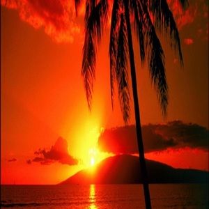 Meet your Posher, Cali