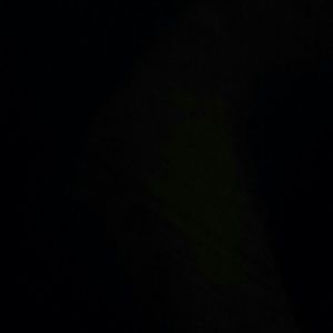 Meet your Posher, Annette