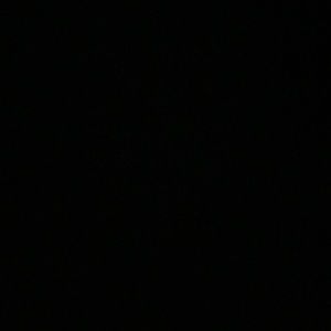 Meet your Posher, Sammy