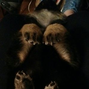 Meet your Posher, Kaitlyn