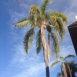 Meet your Posher, Kisbel