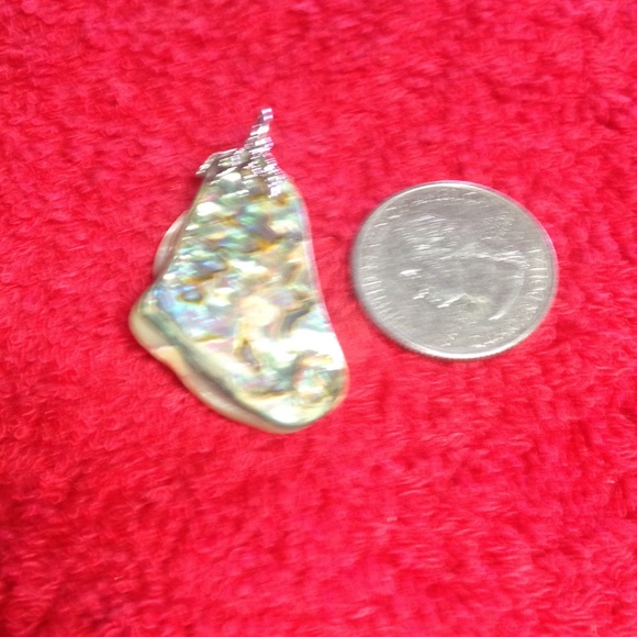 Natural Paua Shell Pendant - Picture 2 of 3