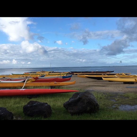 Meet your Posher, Ali - Picture 1 of 1