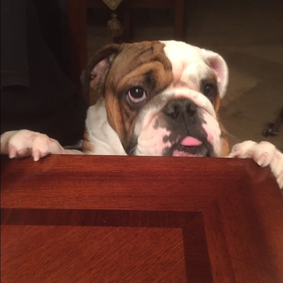 Do you have anything my Mommy is looking for??