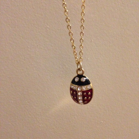 Ladybug necklace