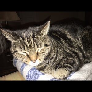 Meet your Posher, Kristi