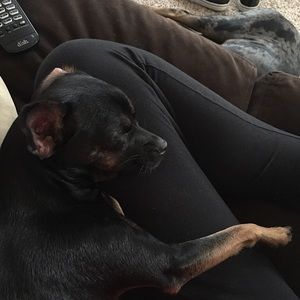 Meet your Posher, Leslie