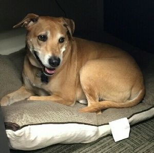 Meet your Posher, Alicia