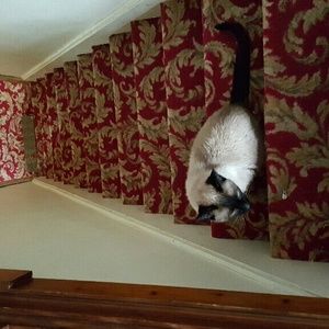 Meet your Posher, Pamela