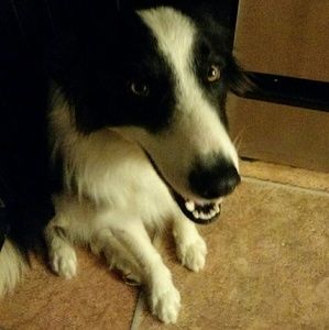 Meet your Posher, Kristen