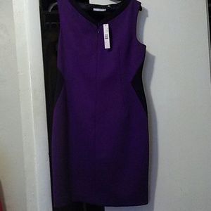 Two toned petite form fitting dress