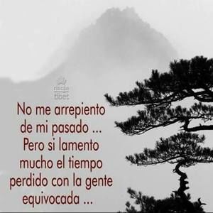 Meet your Posher, Tapia