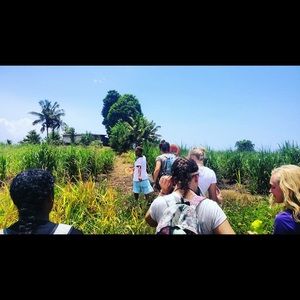 Meet your Posher, Rachel