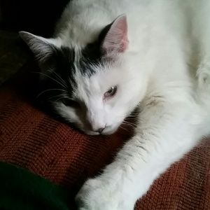 Meet your Posher, Lori