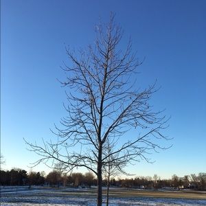 Meet your Posher, Fabiola