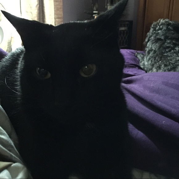 Meet your Posher, Kathy - Picture 2 of 4