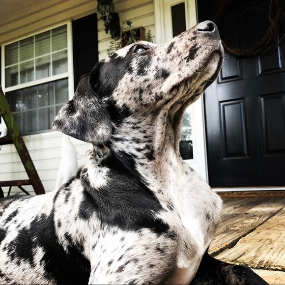 Meet your Posher, Christa - Picture 7 of 8